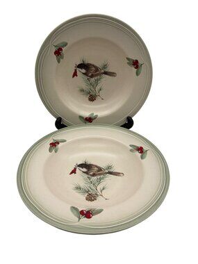 Pfaltzgraff Winterwood Soup / Pasta Bowl Pair Bird Pinecone 9" USA Portfolio